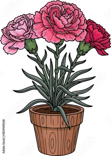 artful carnations potted blooms radiating warmth and illustrated everyday charm, vector isolated on transparent background