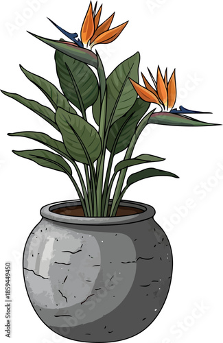 avian blooms tropical grandeur takes flight from a stone planter, vector isolated on transparent background