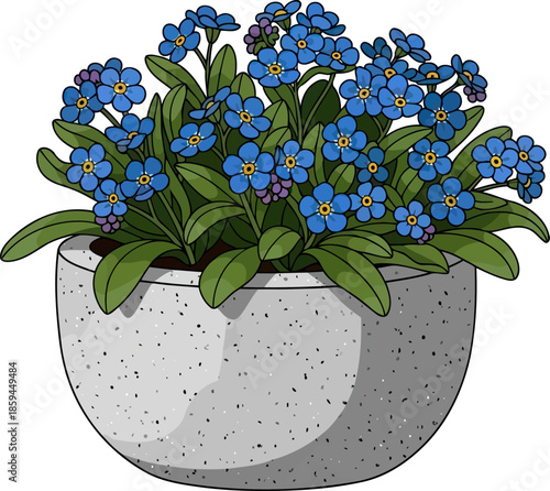 azure whispers a timeless keepsake of enduring affection and gentle beauty, vector isolated on transparent background