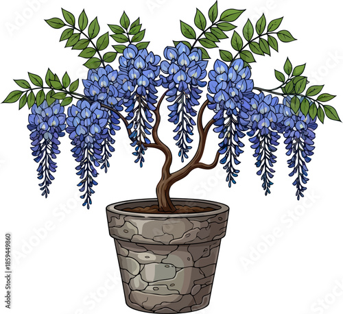 celestial blue drapery whimsical wisteria blooms bringing serene elegance home, vector isolated on transparent background
