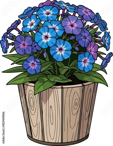 chromatic serenade blue and purple petals unfolding a gentle indoor oasis, vector isolated on transparent background