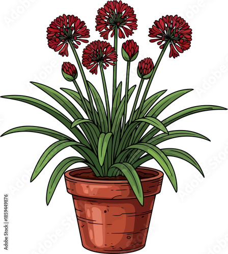 crimson burst a handdrawn floral celebration bringing joyful home aesthetics, vector isolated on transparent background