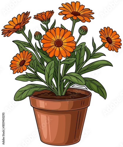 Wallpaper Mural daily dose of sunshine illustrated garden marigolds bursting with natural cheer, vector isolated on transparent background Torontodigital.ca