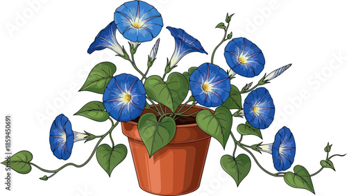 ephemeral blue symphony daily awakening of vining blooms in a humble pot, vector isolated on transparent background