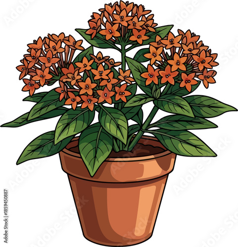 fireside bloom capturing natures spirited embrace in a potted garden, vector isolated on transparent background