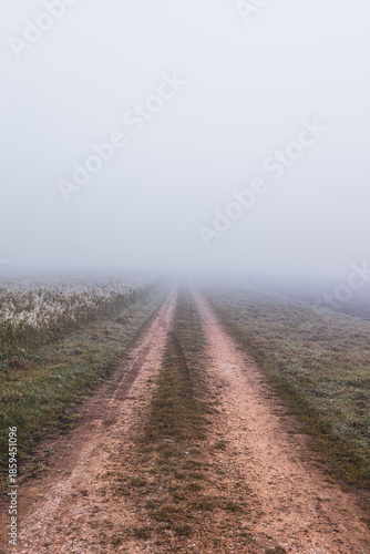 Mysterious winter dirt road disappearing into fog, icy fields on both sides with warm tones on the path and a cold atmosphere