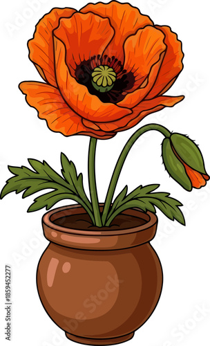 potted passion an illustrated poppy igniting creativity and joy from its earthen home, vector isolated on transparent background