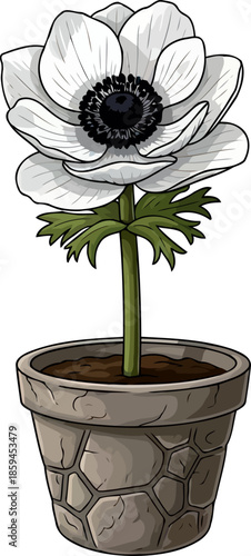 timeless petal whisper an elegant anemone illustration for serene spaces, vector isolated on transparent background