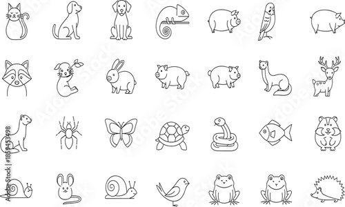 Diverse Animal And Pet Icon Set Featuring Domestic Dogs, Cats, Farm Pigs, Wild Raccoons, Forest Deer, Exotic Reptiles, Insects, Amphibians, And Birds