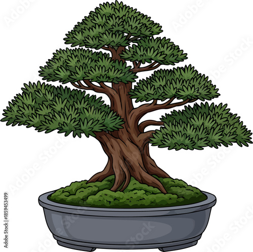 timeless growth illustrated bonsai captures natures patience and artistic harmony, vector isolated on transparent background