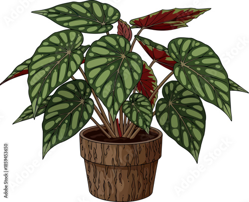 verdant tapestry intricate foliage patterns unfolding in a rustic planters embrace, vector isolated on transparent background