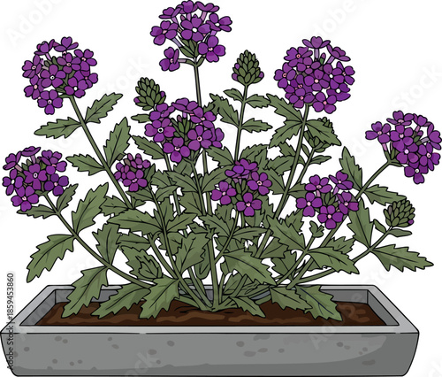 vibrant purple medley modern planter bringing a touch of serenity to urban spaces, vector isolated on transparent background