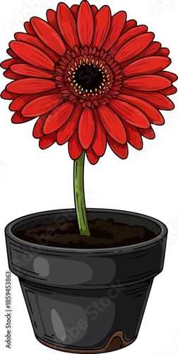 vibrant solitaire bloom a potted gerberas bold statement of joyful color, vector isolated on transparent background