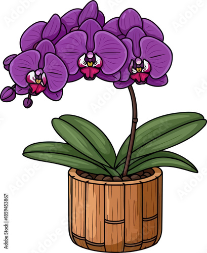 violet majesty exotic orchids stylized allure for refined interior aesthetics, vector isolated on transparent background