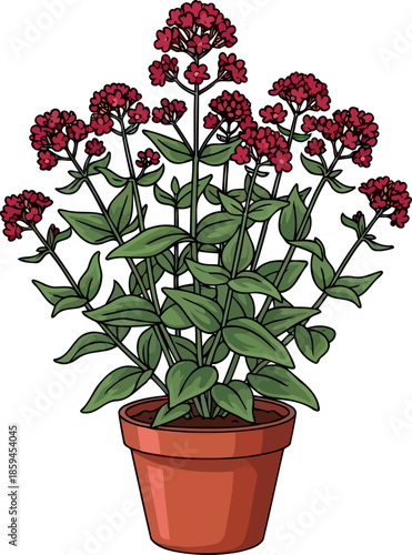 vivid garnet gathering potted botanical embodying energetic natural appeal, vector isolated on transparent background