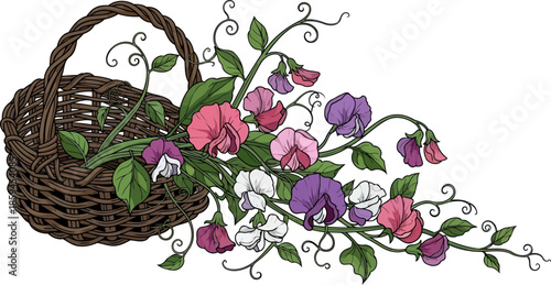 whimsical basket blooms sweet peas untamed, natures colorful, fragrant delights, vector isolated on transparent background