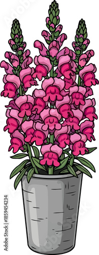 whispering pink towers natures upward reach in illustrated serenity, vector isolated on transparent background