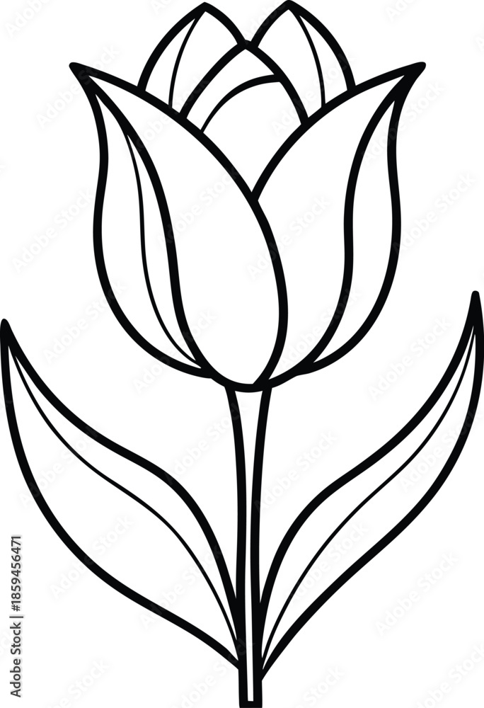 Obraz premium Vector line artwork of a tulip flower on a white background.