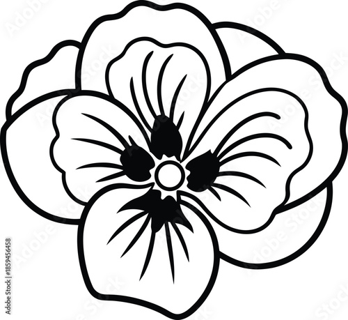 Vector line art of a Pansy flower on white.