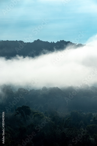 The misty mountain forest landscape stretched out before us, with towering peaks shrouded in thick clouds and dense forests covering the rolling hillsides.