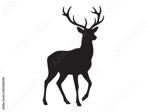 Elegant Antler Deer in Silhouette white background.