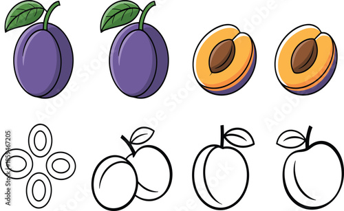 A Comprehensive Vector Icon Set for Plums Featuring Whole Purple Fruit, Halved Fruit with Pits, and Detailed Line-Art Variations.