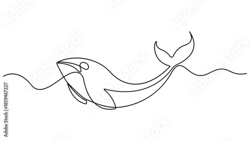 Continuous one line drawing of orca whale. One line of wild whale killer. Under ocean concept continuous line art. World Maritime Day. Sea whale icon line continuous drawing vector. Editable outline