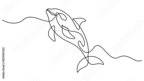 Continuous one line drawing of orca whale. One line of wild whale killer. Under ocean concept continuous line art. World Maritime Day. Sea whale icon line continuous drawing vector. Editable outline
