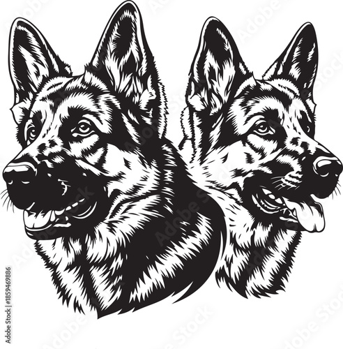 A striking black and white illustration showcases the noble heads of two majestic german shepherd dogs facing forward