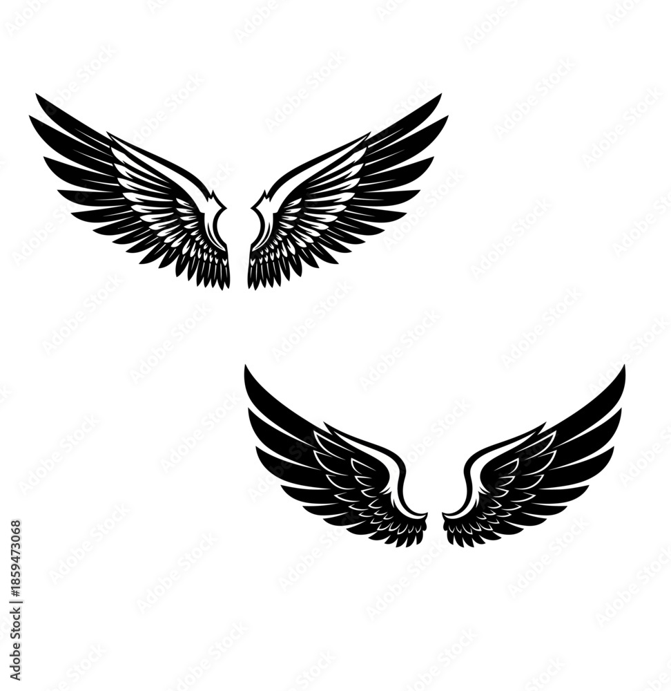Fototapeta premium Black and white angel wings illustration