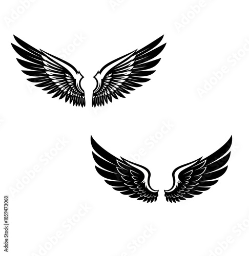 Black and white angel wings illustration