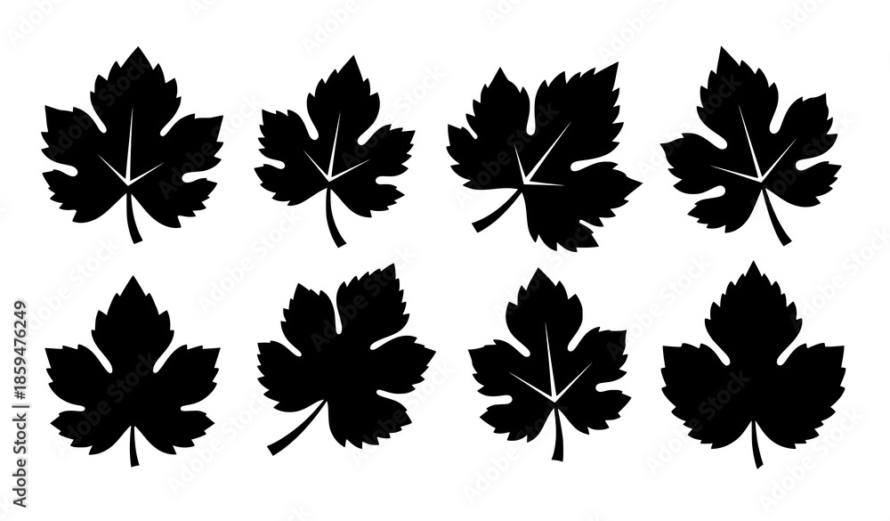 Naklejka premium Minimal grape leaf silhouette icon set flat vector illustration on white