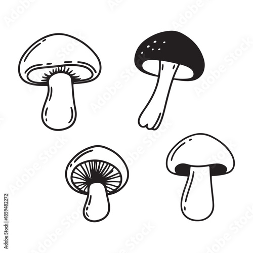 vector illustration of mushrooms