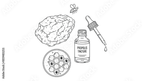 Propolis tincture with honeycomb and bee illustration in line art style