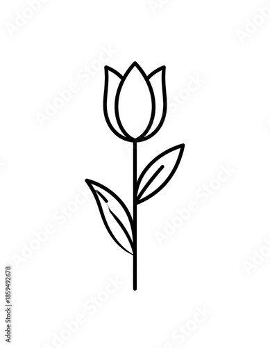 A simple, black-outlined illustration of a tulip, showcasing the flower's petals, stem, and leaves against a white background