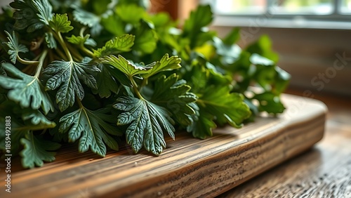 tolerable. Close-up of dried lovage leaves on a wooden rack with natural morning light. gardening catalogs, home-decor guides, designed for home decor and floral branding, used by sports marketers.
