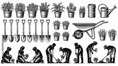 Gardening tools plants illustration, potted succulents, shovels, watering can, wheelbarrow, and people planting, outdoor garden care collection, vintage line art
