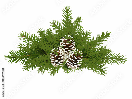 A festive arrangement of pine branches and pinecones on a white background