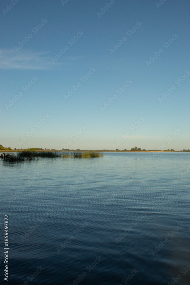 Fototapeta premium lago y arbustos sobre el agua