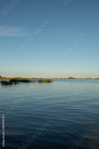 lago y arbustos sobre el agua