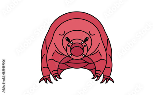 Illustration of a tardigrade