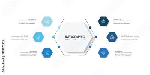 Vector infographic label design with hexagon infographic template design and 6 options or steps.