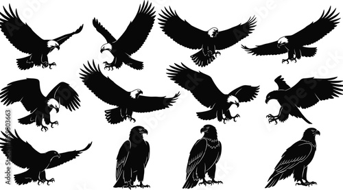 Eagle silhouettes, flying bird icons, majestic raptor illustration, wildlife vector, predator design, freedom symbol, perched eagle, soaring wings, hunting pose, black and white set