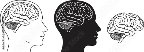 Human brain anatomy illustration with head silhouette profiles, neuroscience concept, psychology and cognition symbols, black and white medical vector design