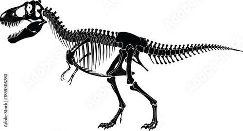 Tyrannosaurus rex skeleton, dinosaur fossil, prehistoric bones, paleontology icon, Jurassic illustration, museum exhibit, cad drawing flat vector illustration