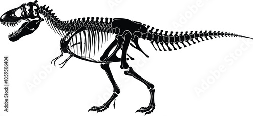 Tyrannosaurus rex skeleton, dinosaur fossil, prehistoric bones, paleontology illustration, Jurassic predator, museum exhibit, cad drawing flat vector illustration