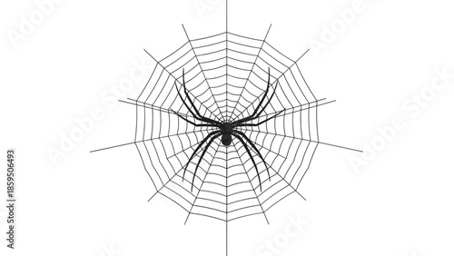 Black silhouette of a large spider sitting in the center of its intricate geometric spider web isolated on a plain white background.