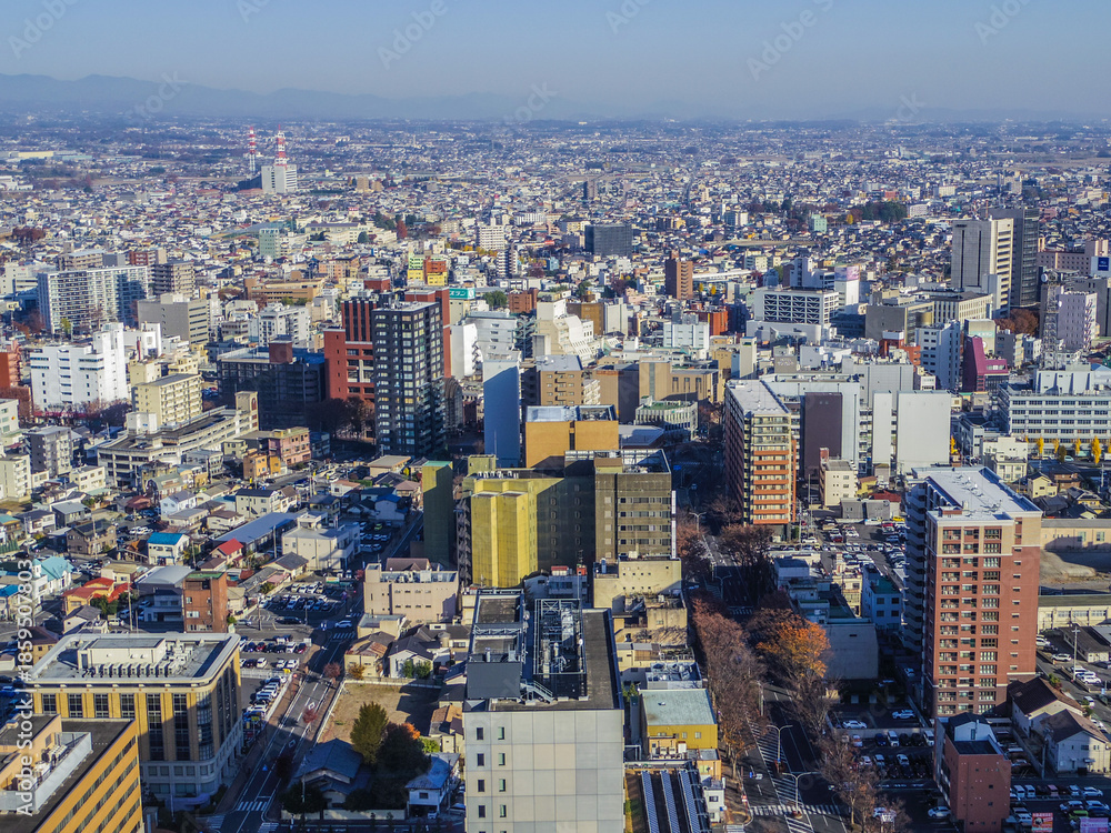 Fototapeta premium 【群馬県】前橋市・群馬県庁からの風景