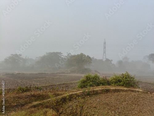 A serene landscape captured in a thick morning mist. In the foreground, green trees and foliage hazy view of distant fields and forests, creating a quiet, atmospheric, and natural scene.
