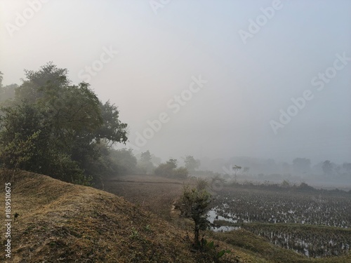 A serene landscape captured in a thick morning mist. In the foreground, green trees and foliage hazy view of distant fields and forests, creating a quiet, atmospheric, and natural scene.